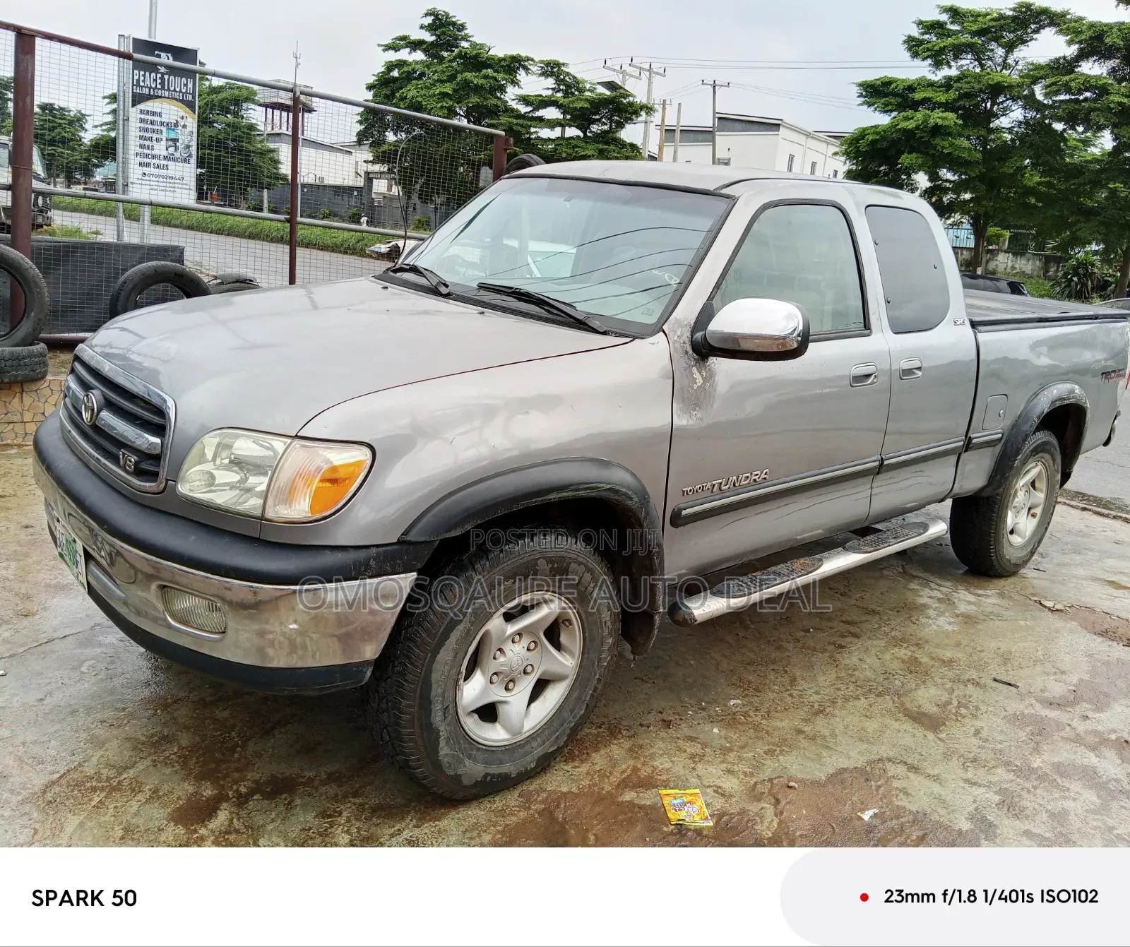 Toyota Tundra 2005 Silver