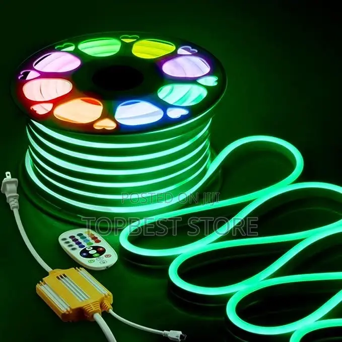 Neon Rop Light Multiple Color Complete With Remote