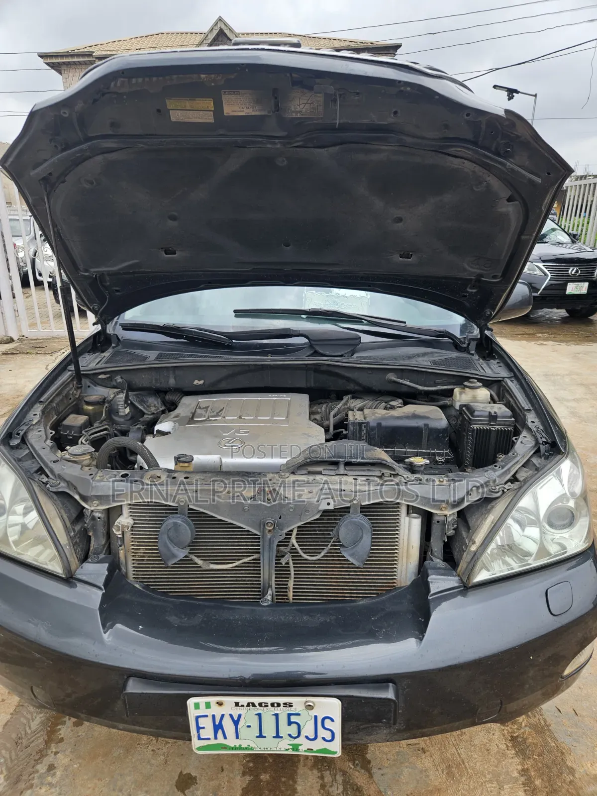 Lexus RX 2008 Blue