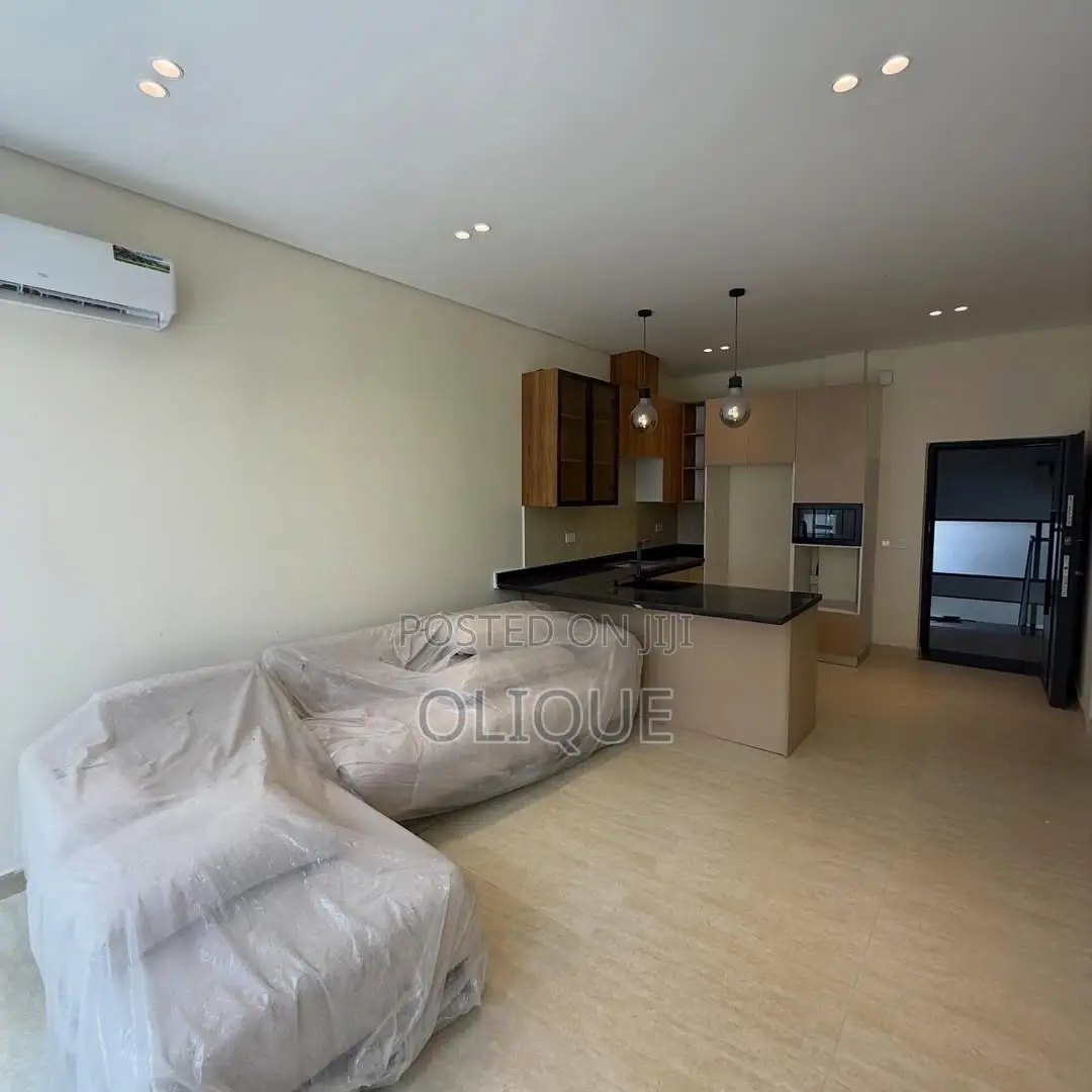 Furnished 2bdrm Block of Flats in Maitama for rent