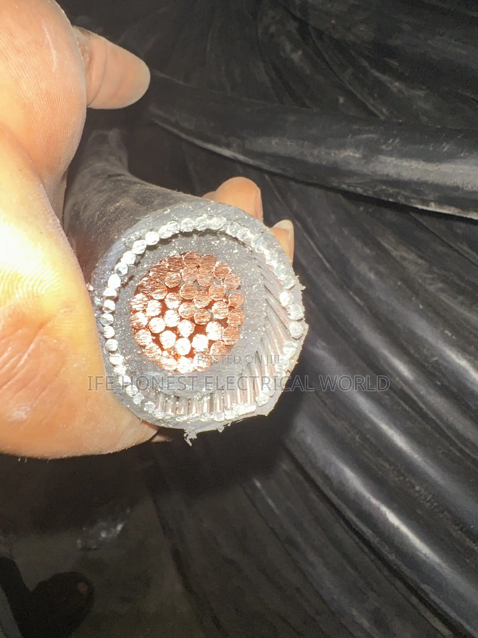 300mmx1core Coleman Cable