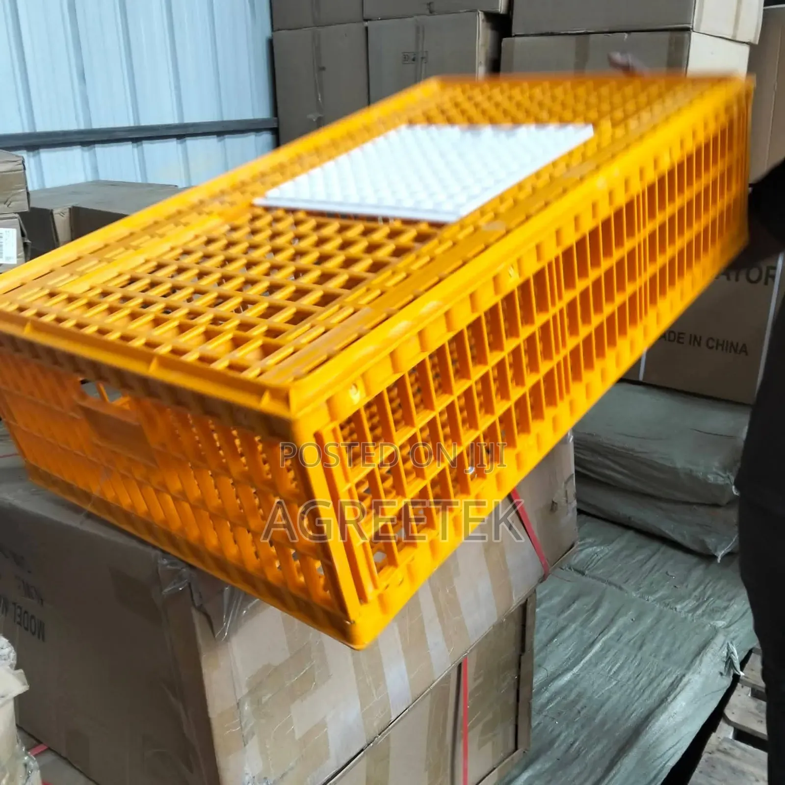 Bird Transport Crate