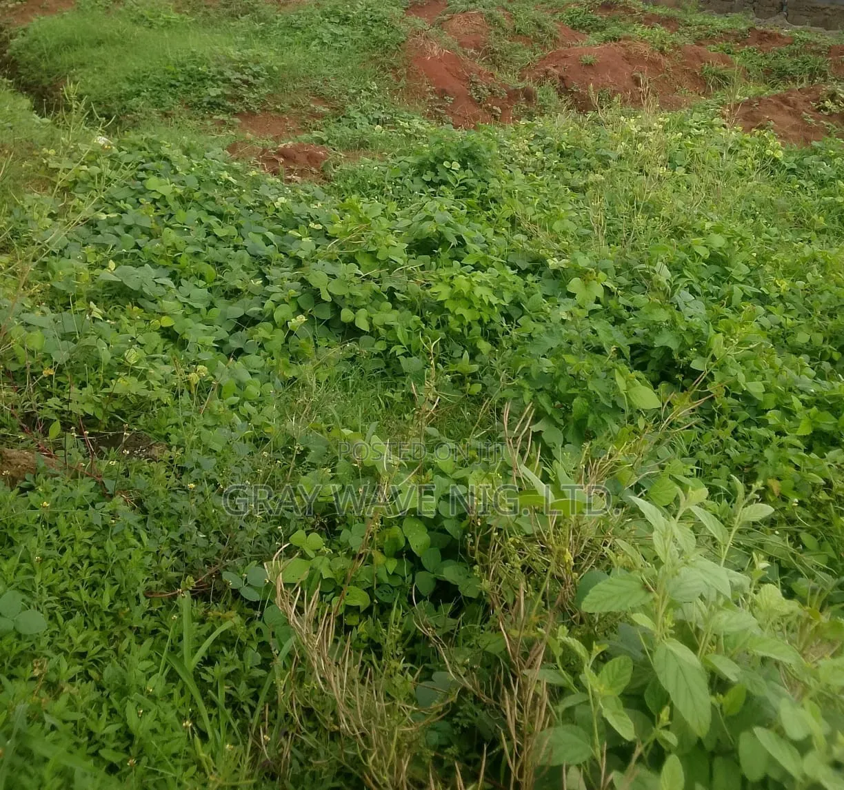 1000sqm Prime Residential Land