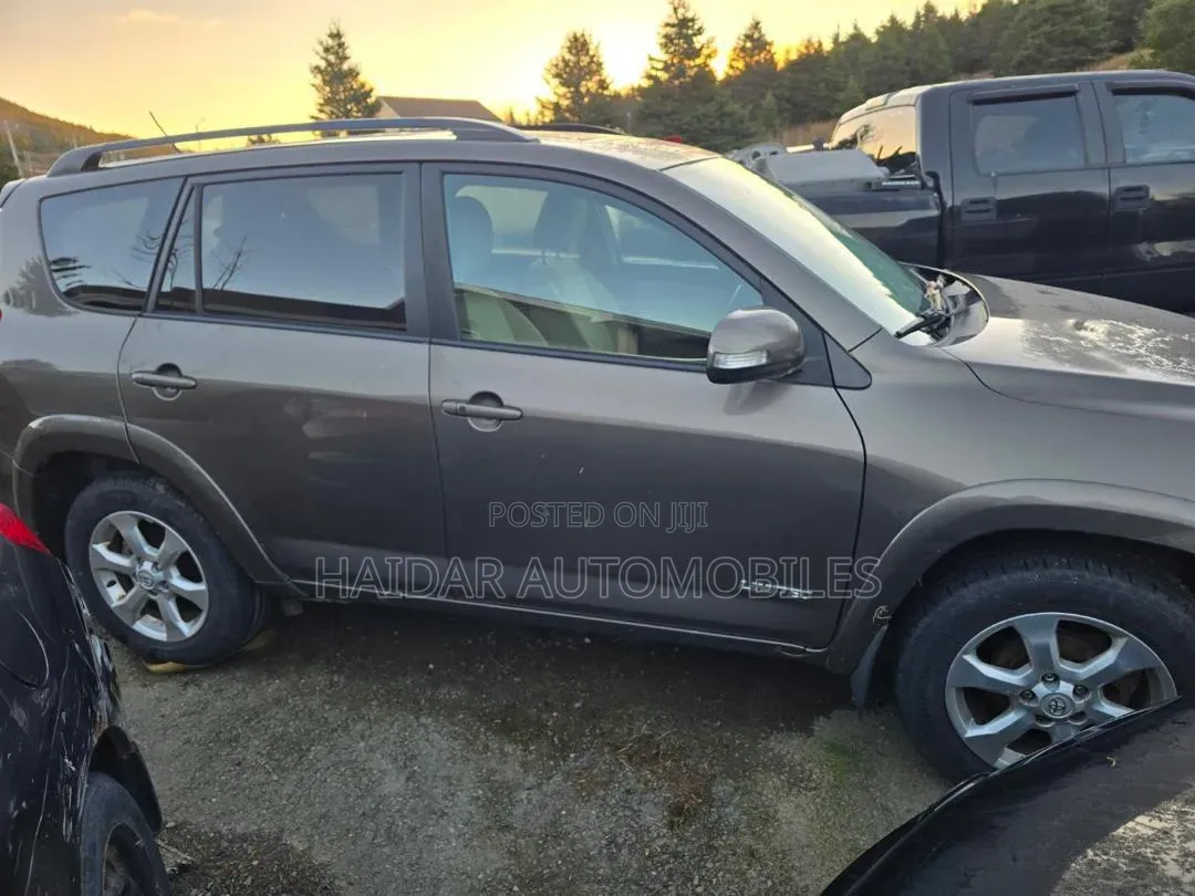 Toyota RAV4 2010 Gold