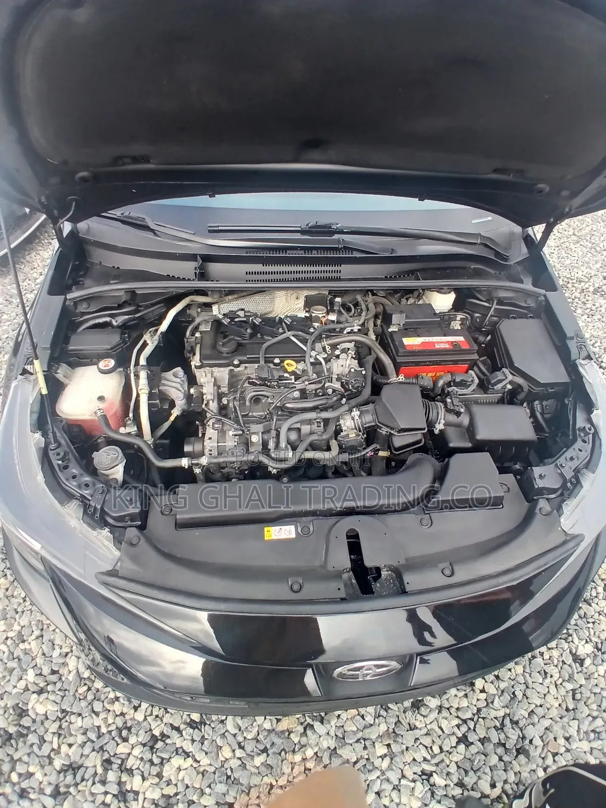 Toyota Corolla L 2022 Black