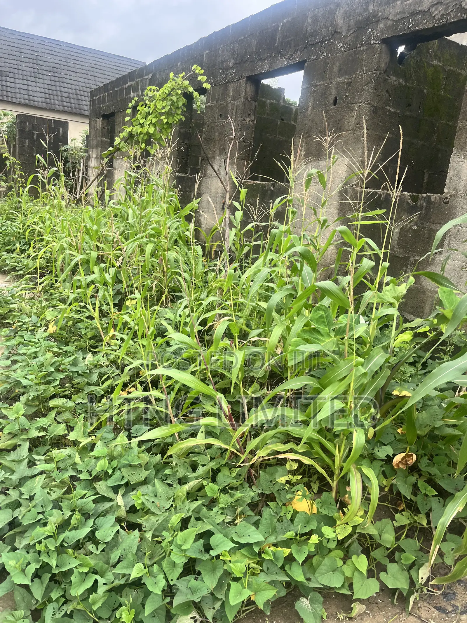 3bdrm Block of Flats in Wagbare, Igbogbo for sale