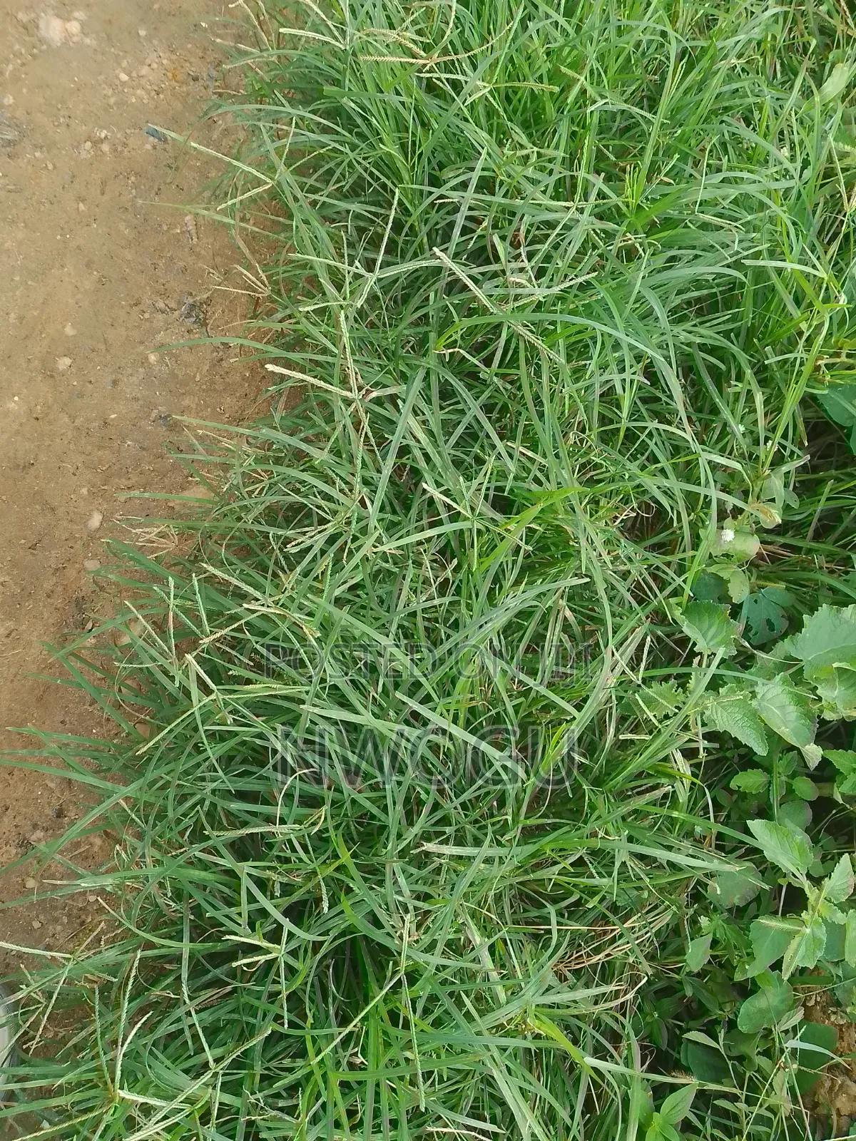 1,100 SQM of Land for Sale at Guzape 2