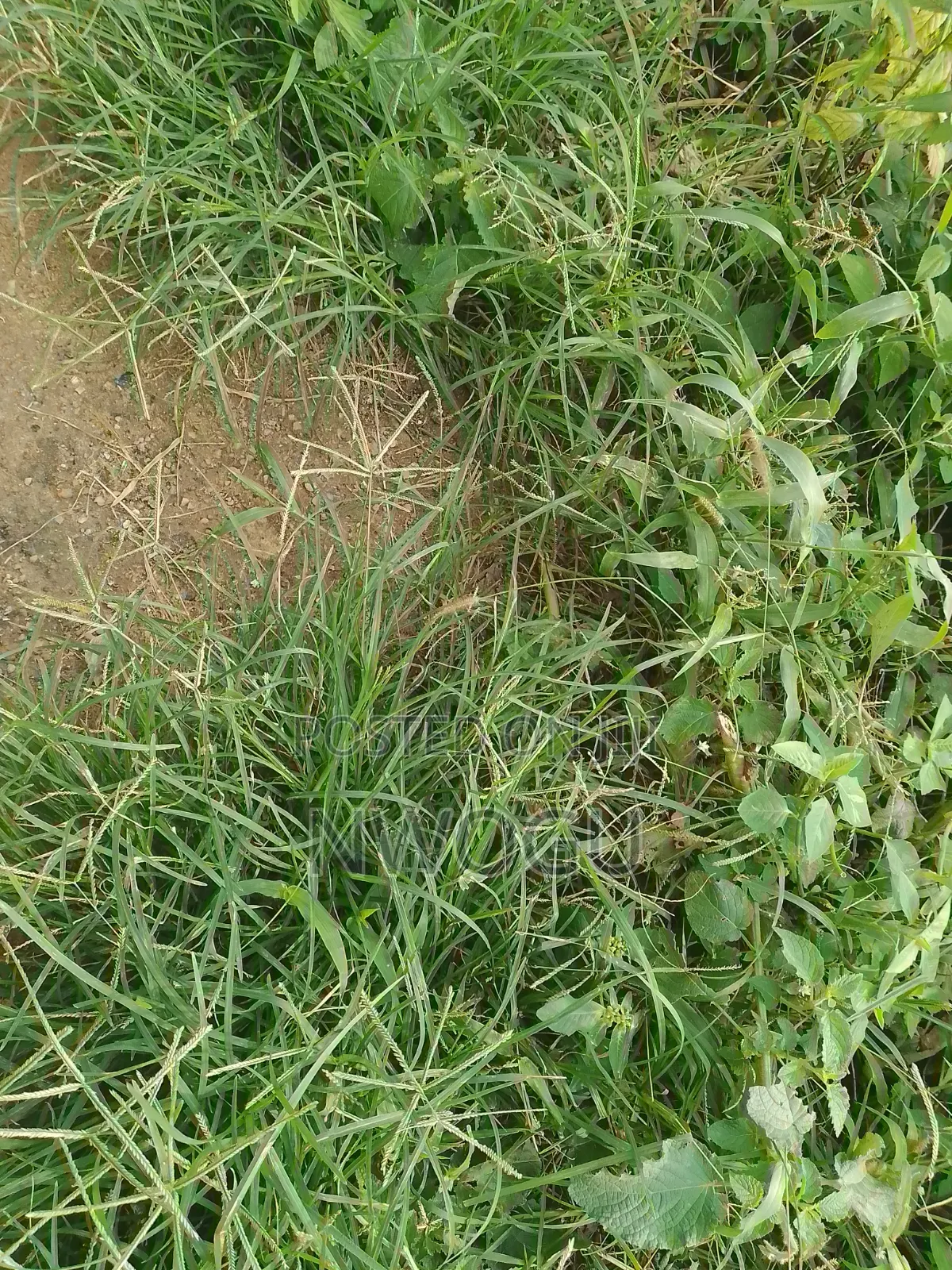 1,100 SQM of Land for Sale at Guzape 2