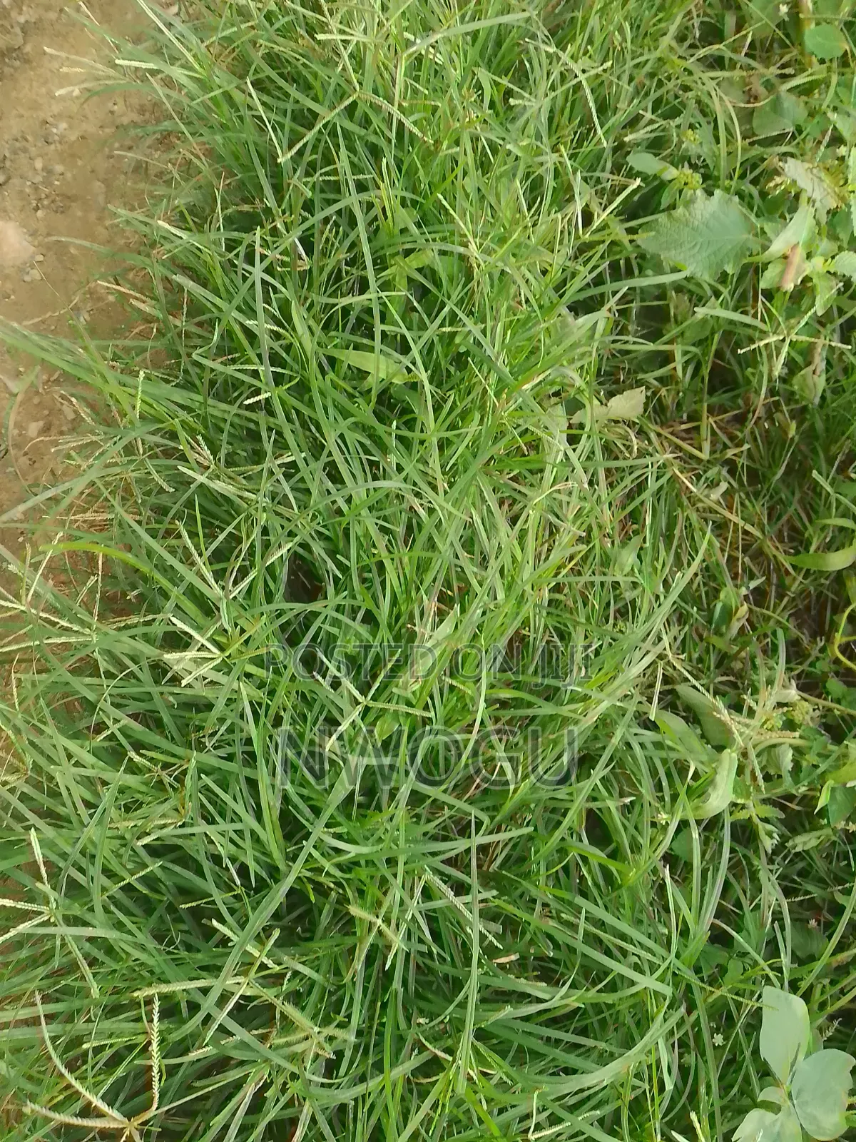 1,100 SQM of Land for Sale at Guzape 2