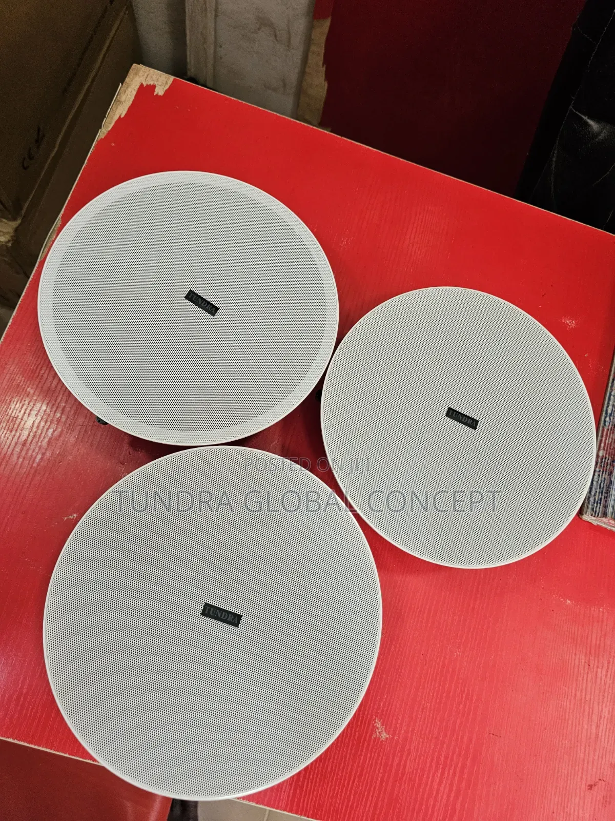 Tundra Ceiling Speaker Sound System