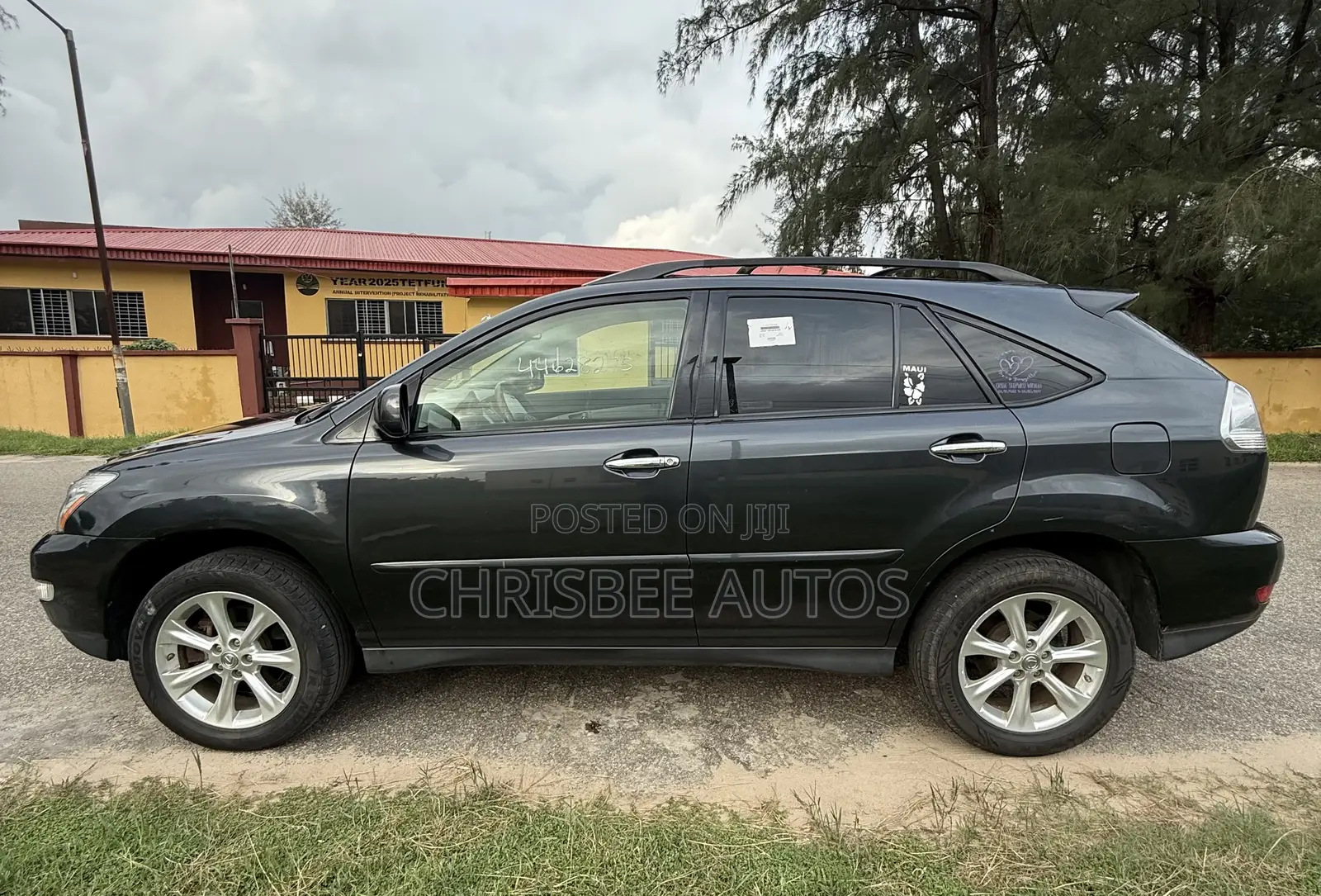 Lexus RX 350 4x4 2009 Gray