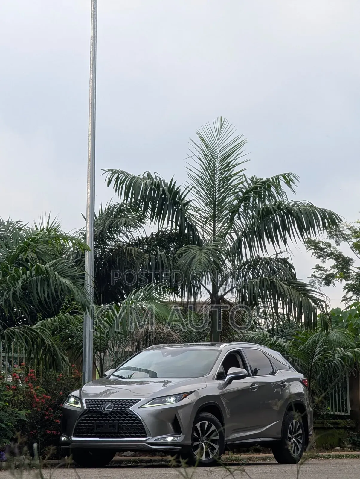 Lexus RX 2022 Silver