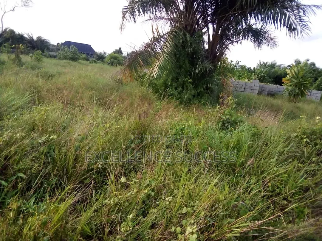 4 Plot of Bare Land in Badagry Age Momo,mowo Bus Stop