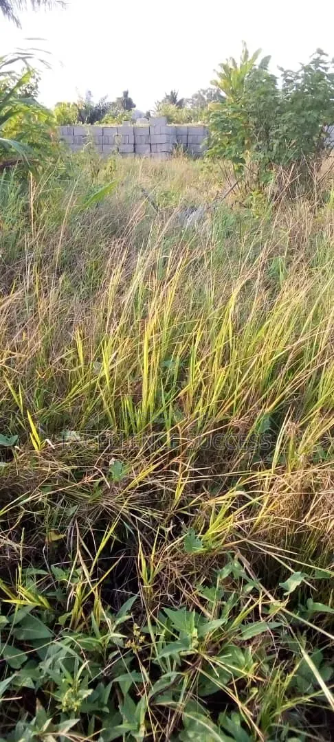 4 Plot of Bare Land in Badagry Age Momo,mowo Bus Stop