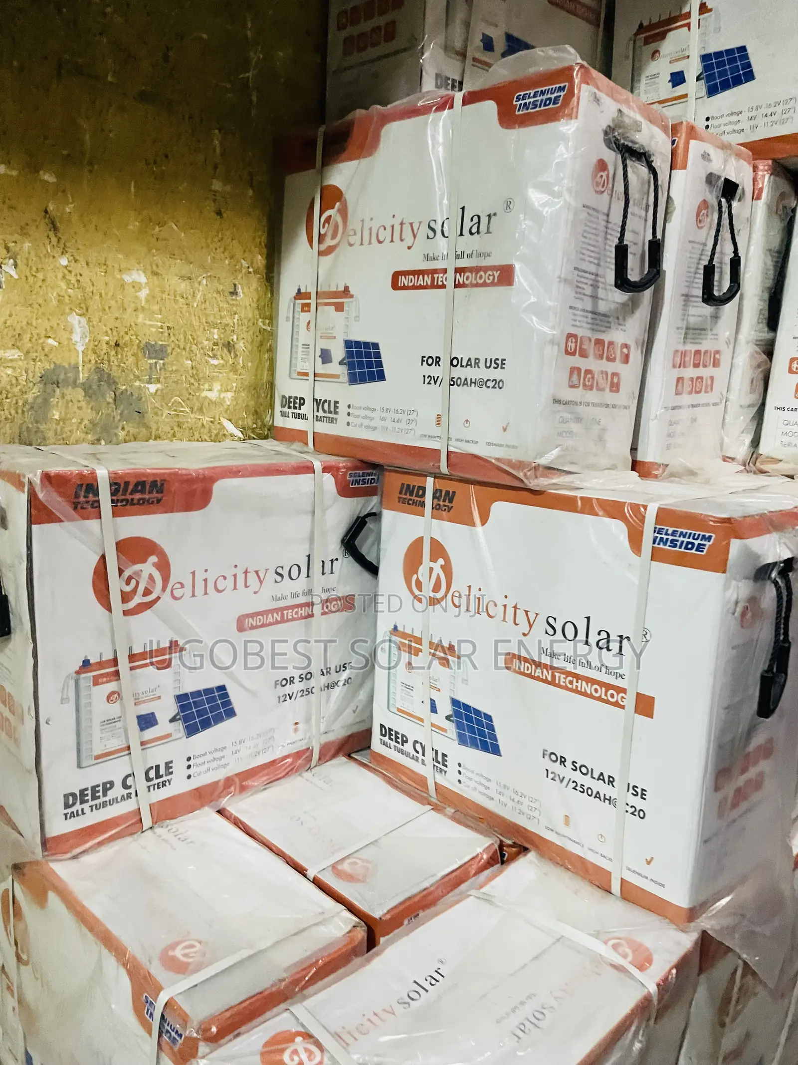 250ah 12v Delicity Tubular Battery