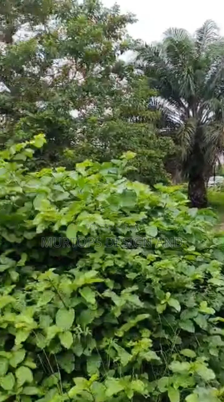 Fence and Gated Plot of Land for Sale, Off Monastery Sangotedo.*