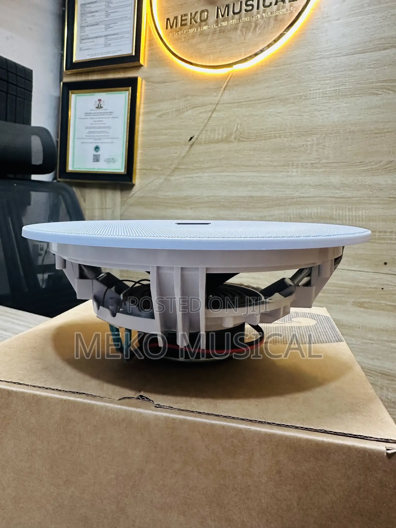 Ceiling Speaker 