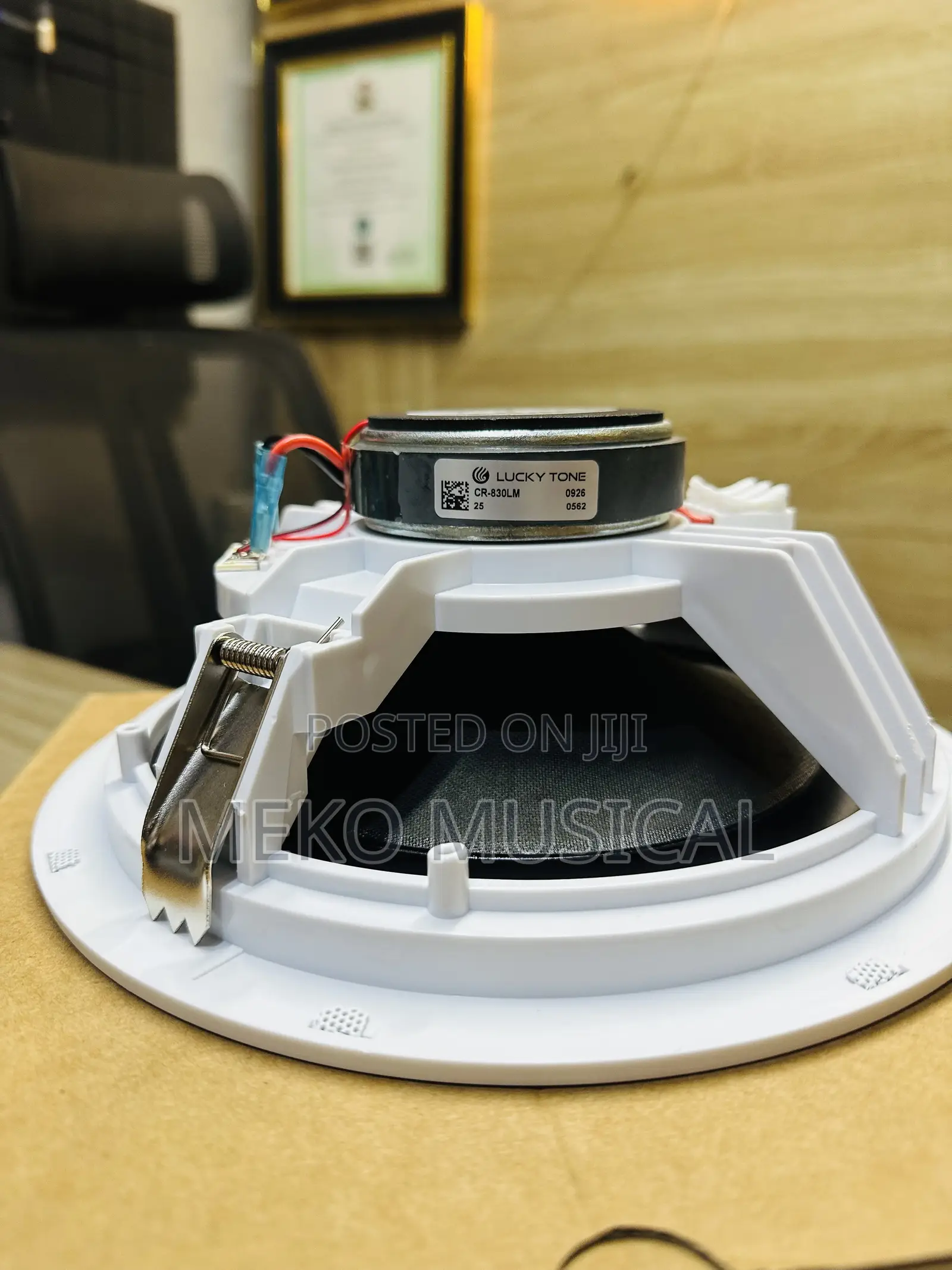 Ceiling Speaker 