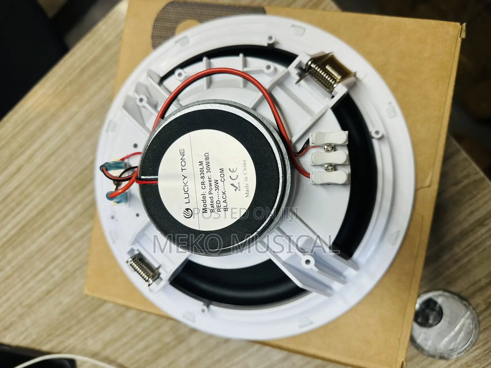 Ceiling Speaker 