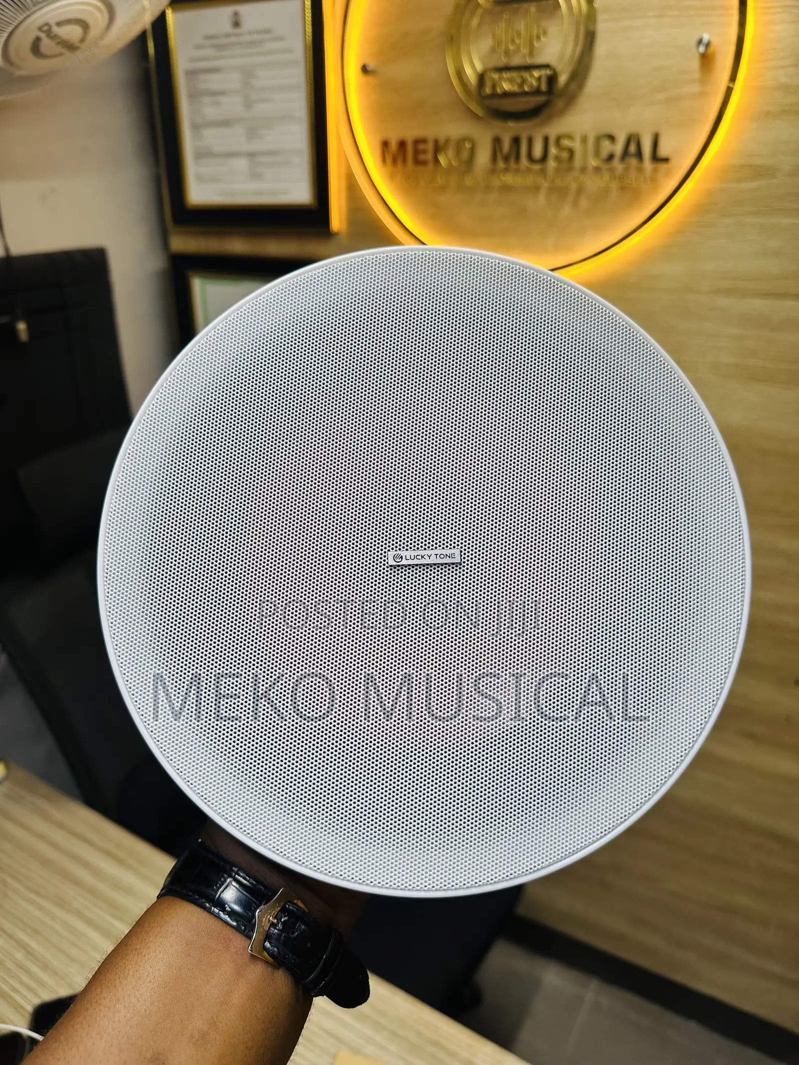 Ceiling Speaker 