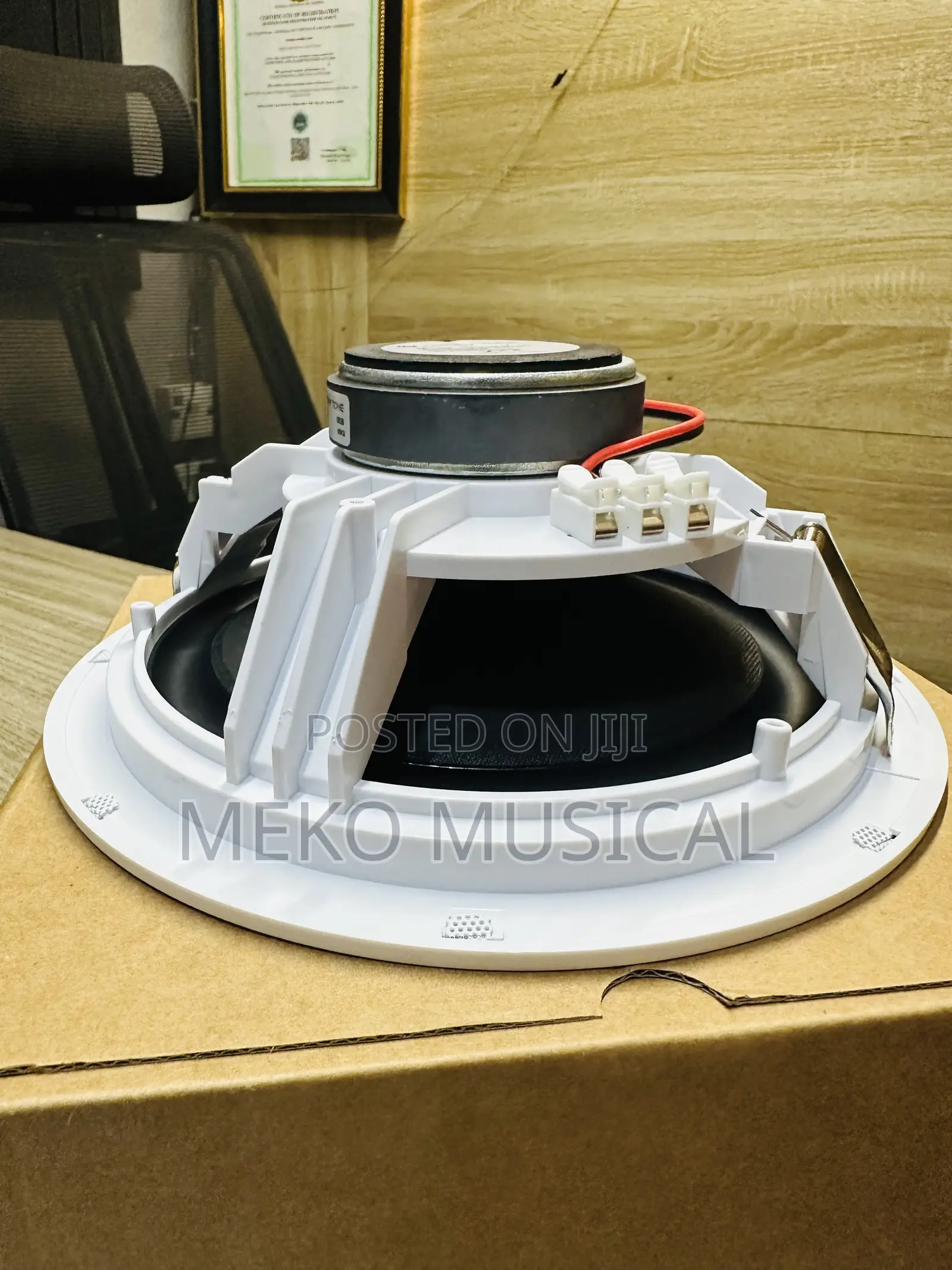 Ceiling Speaker 