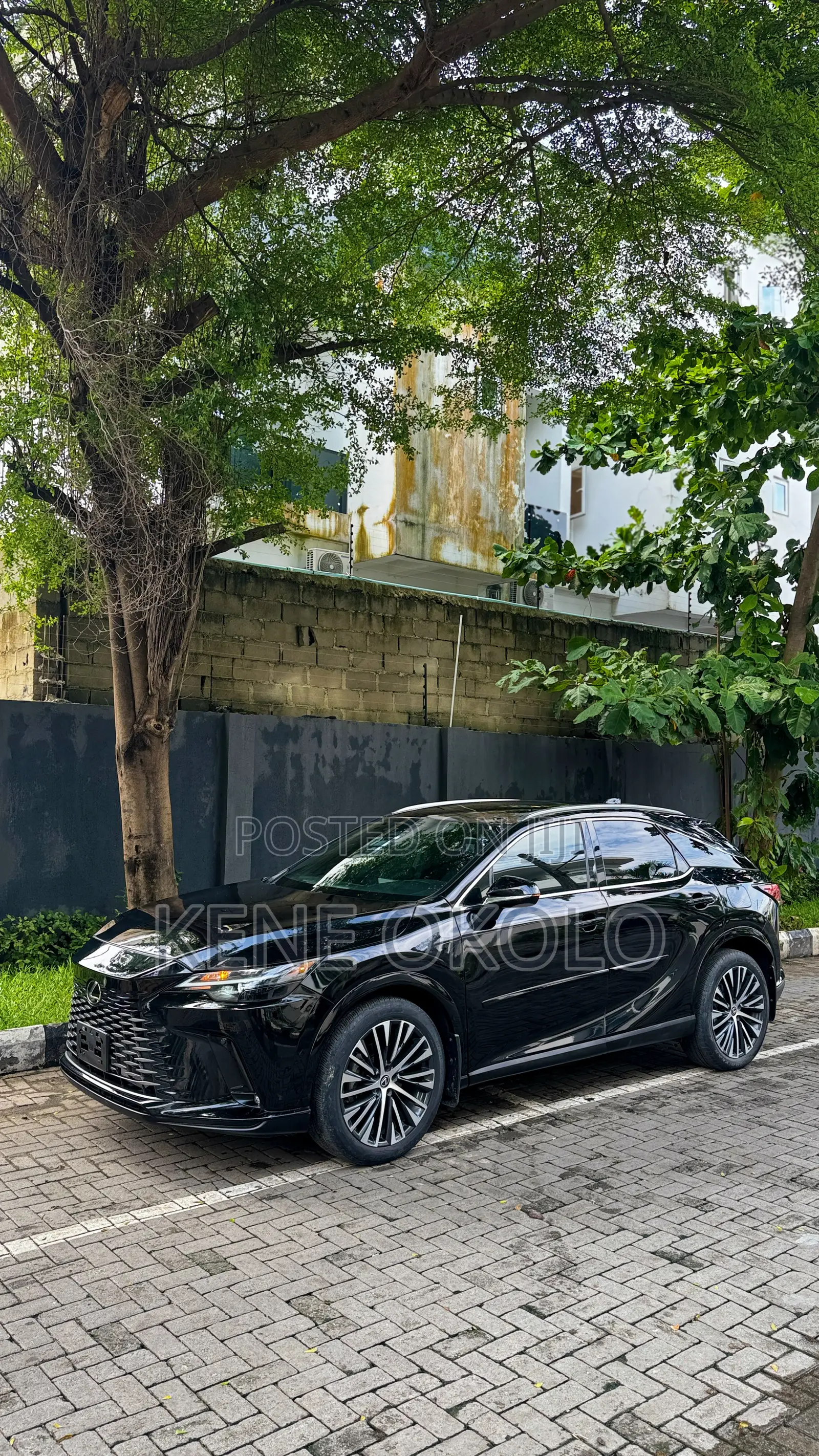 Lexus RX 350 Premium AWD 2023 Black