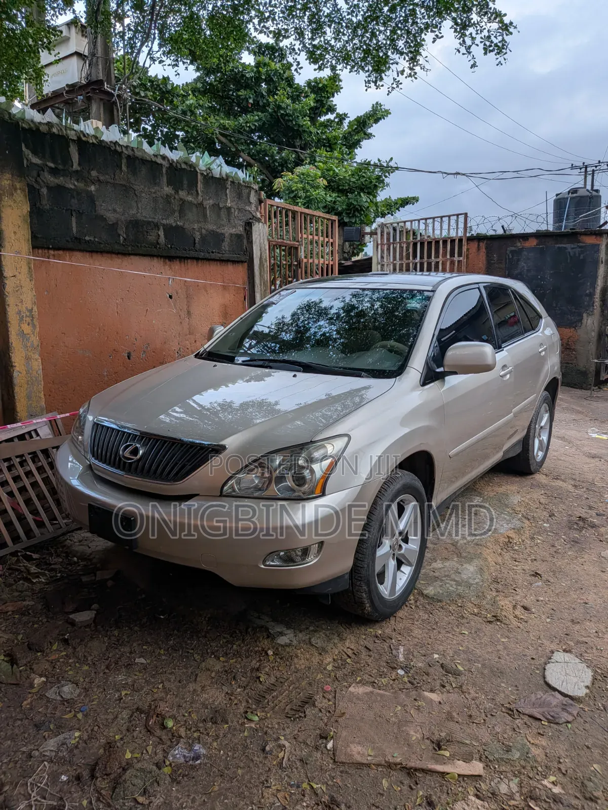 Lexus RX 2005 Gold