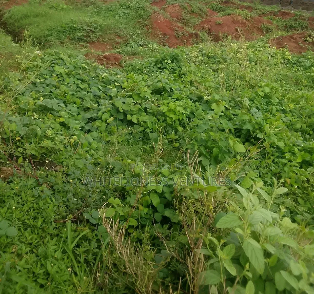 Plots of Land for Sale Facing Coastal Road Awoyaya