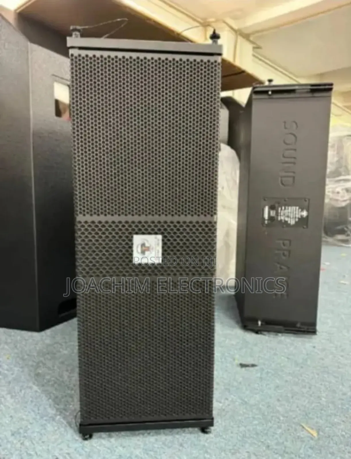Sound Praise 10 Inches Line Array Speaker