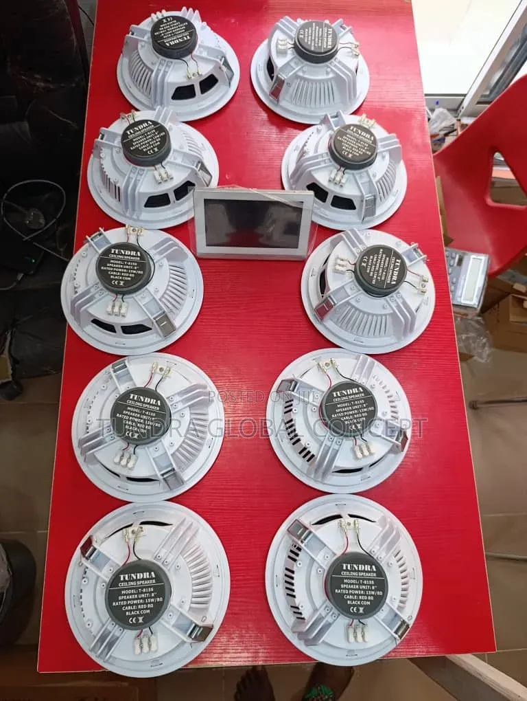 Tundra Smart Home Audio System
