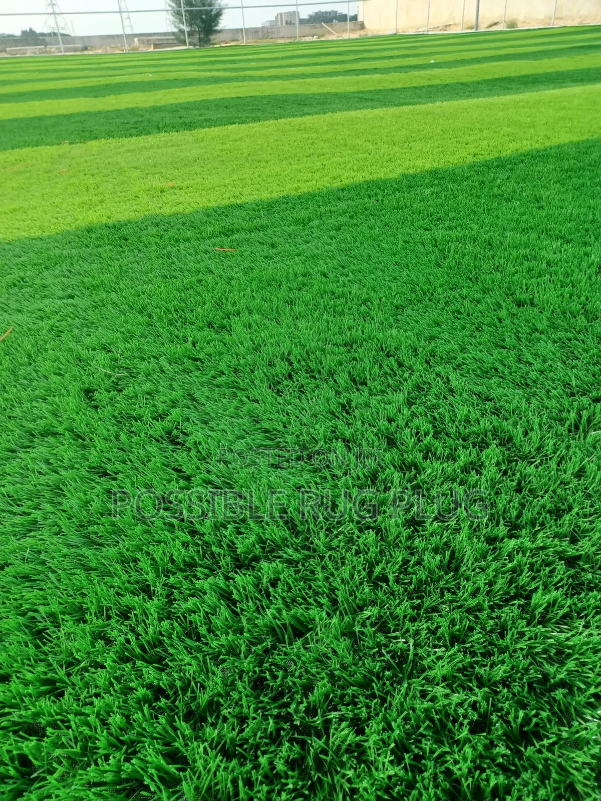 Synthetic Field Grass