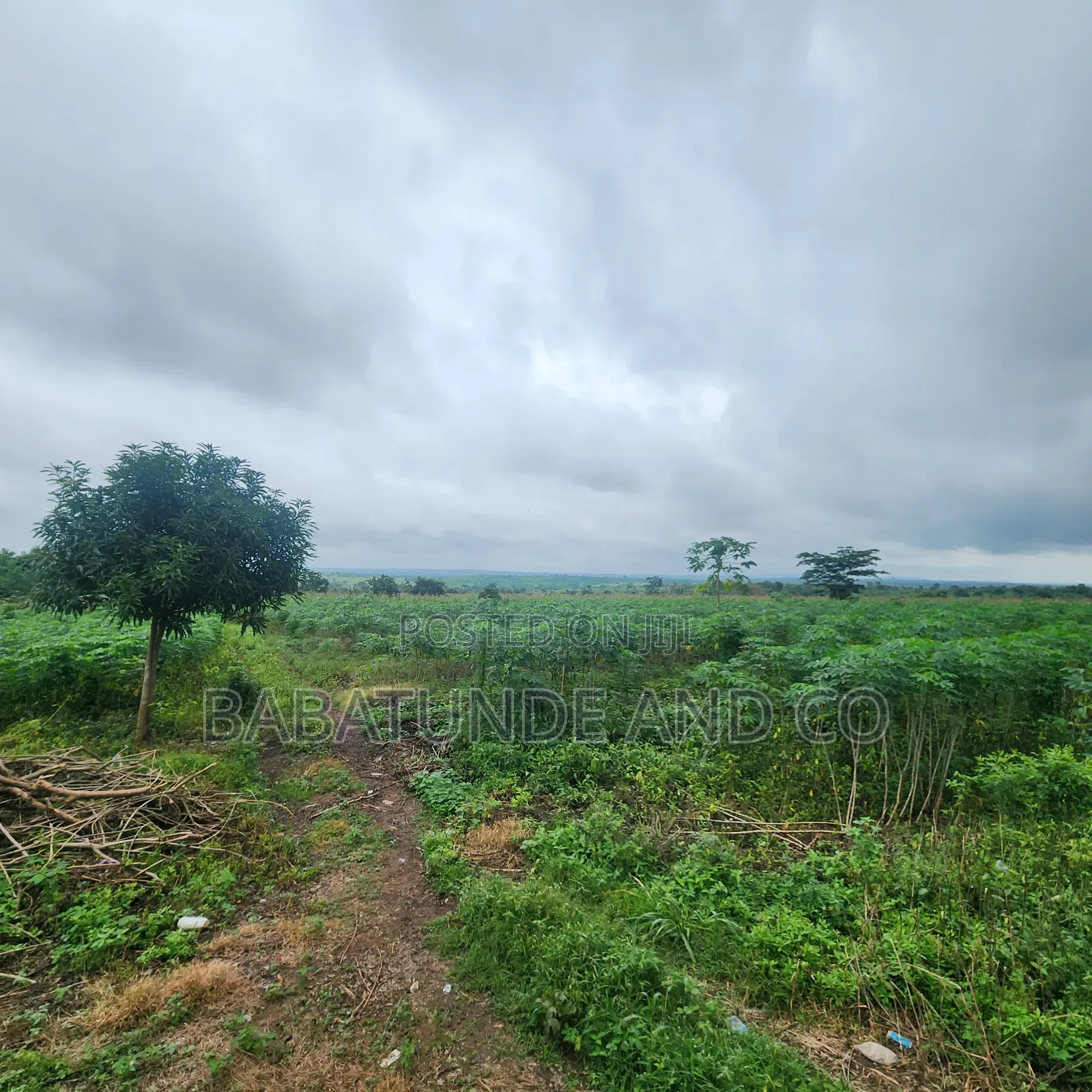 30 Acres at Elere, Ido Ibadan