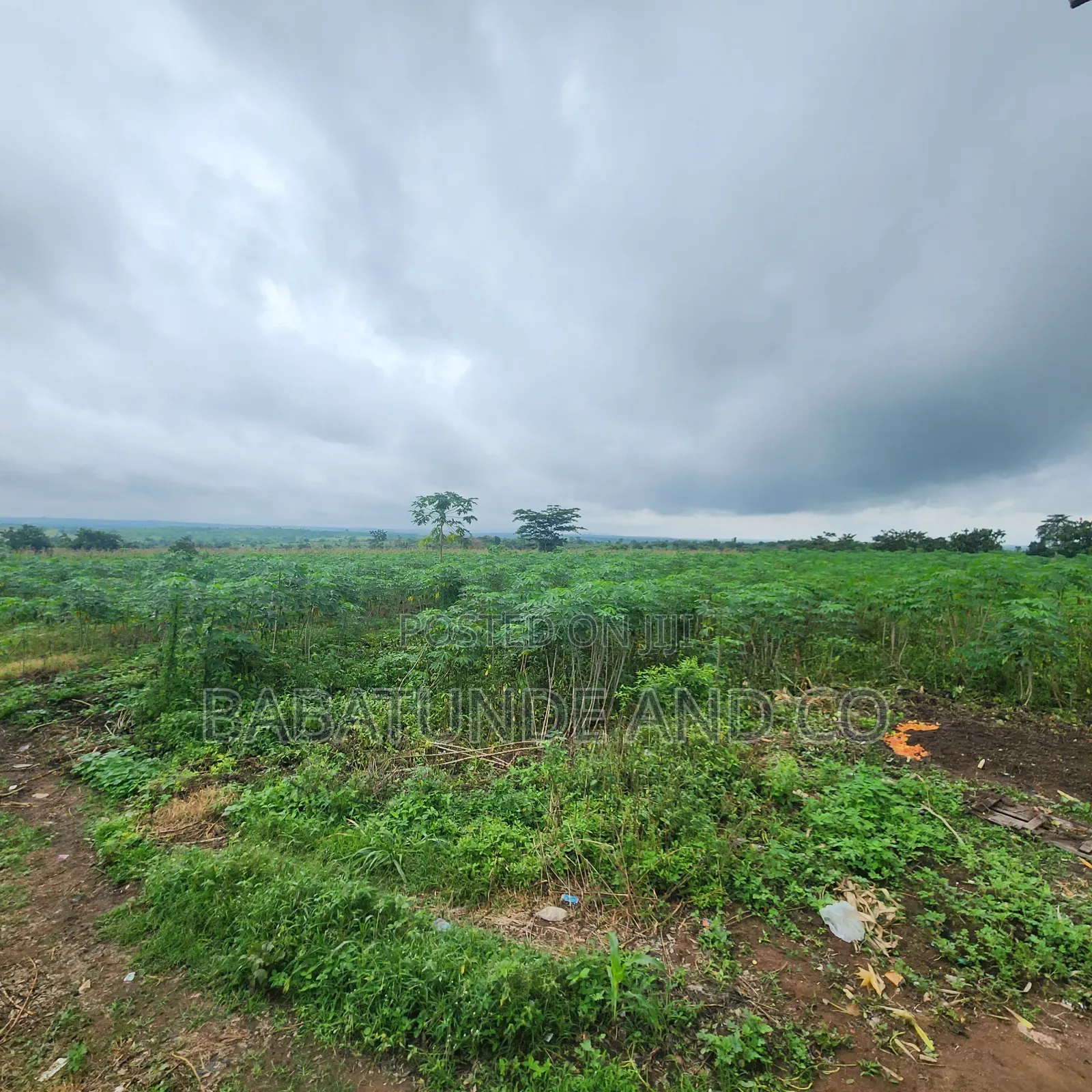30 Acres at Elere, Ido Ibadan