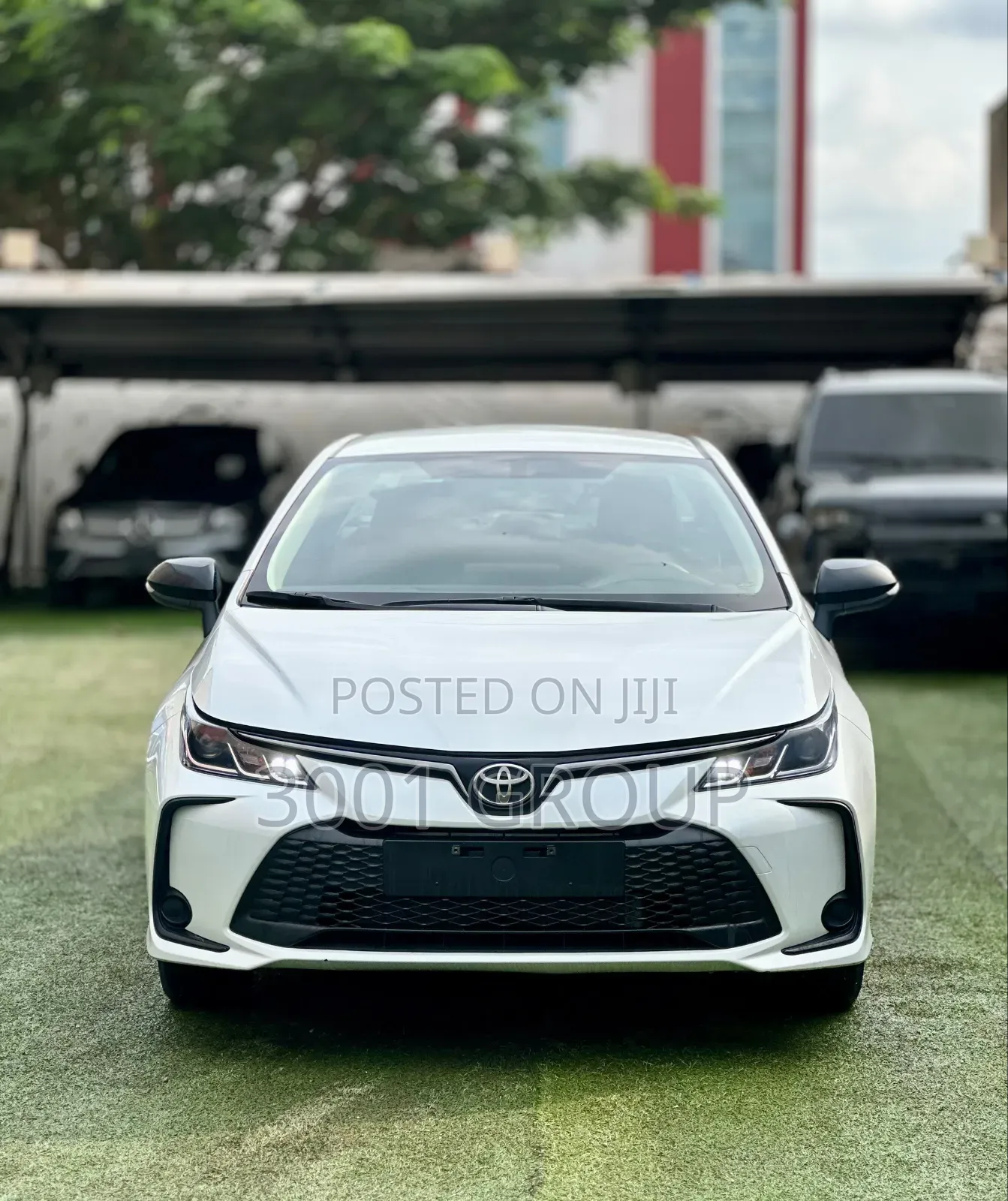 New Toyota Corolla 2025 White