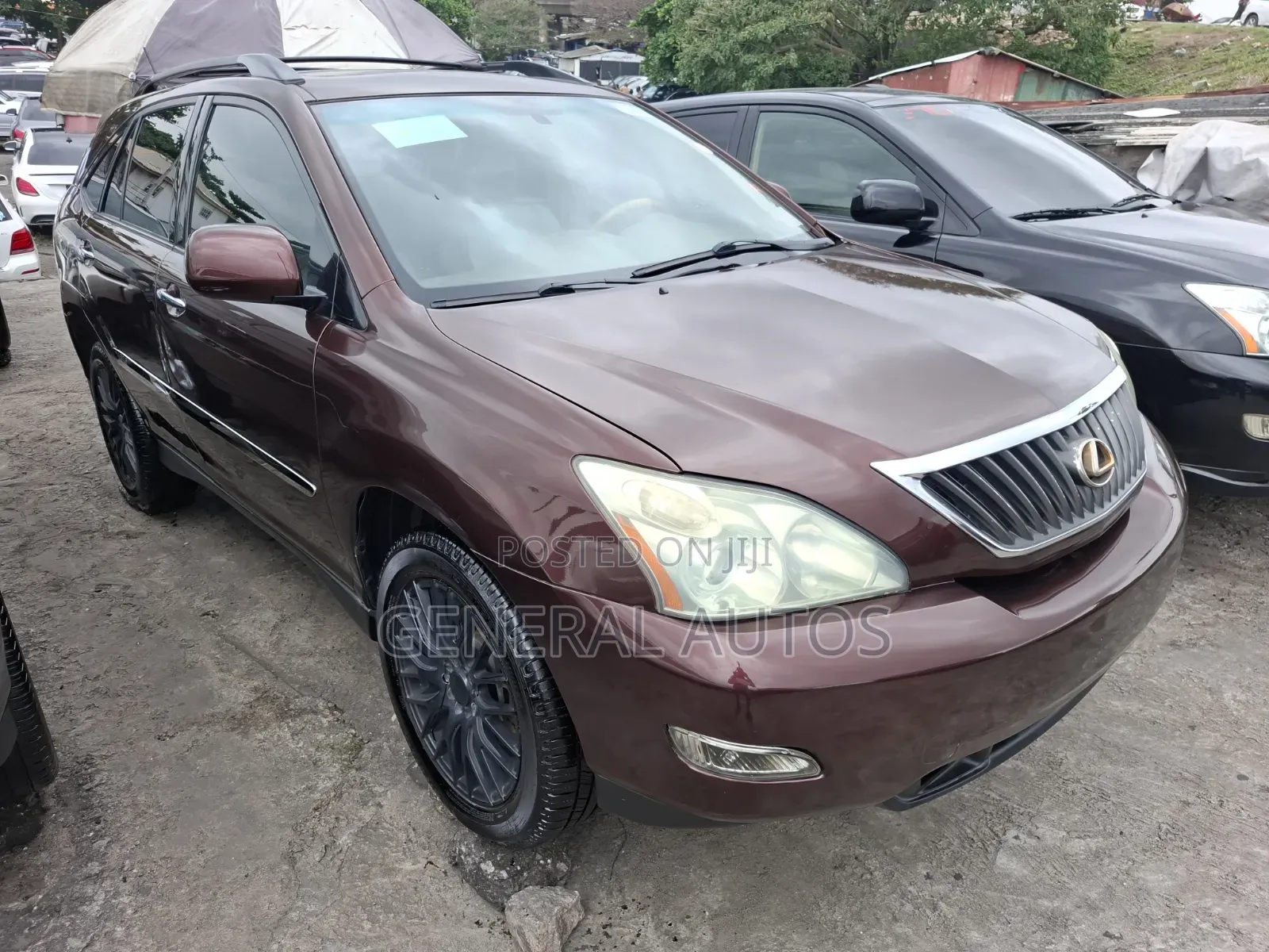 Lexus RX 2009 Brown