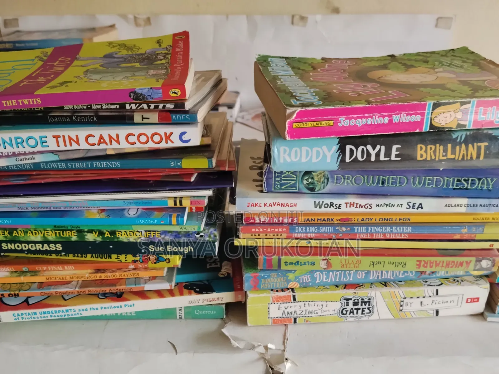 Bundle of Teen Fiction and References Books