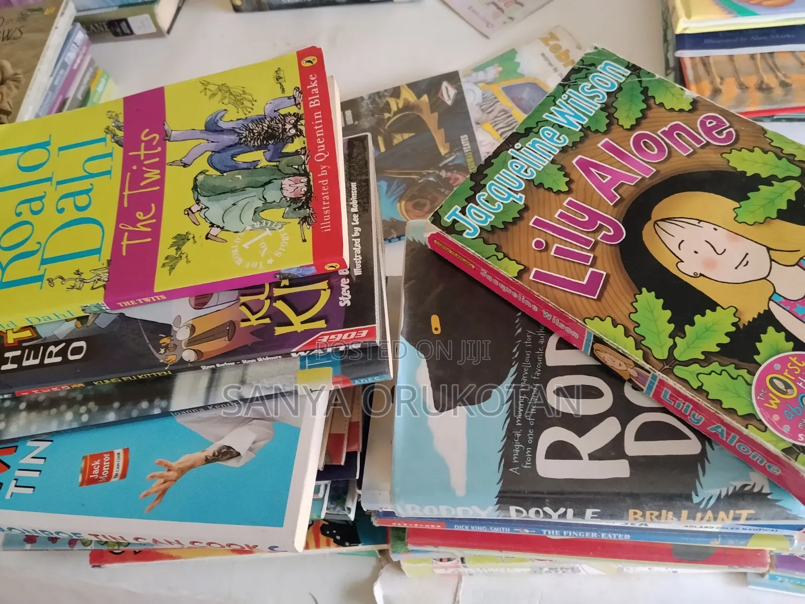 Bundle of Teen Fiction and References Books