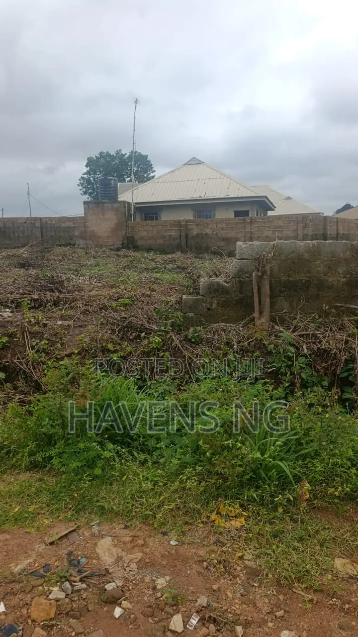 Hot Property Alert: 2 Plots of Land in Peace Estate, Ologuneru