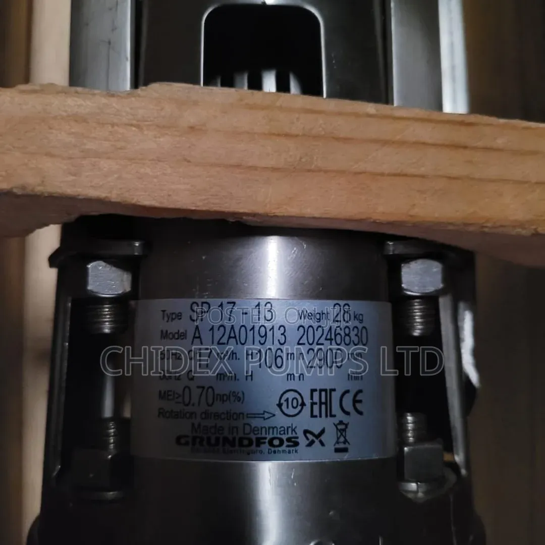 Sp17-13 Groundfox Submersible Pump