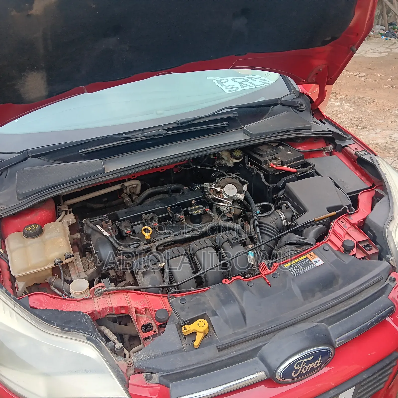 Ford Focus SE 4dr Hatchback (2.0L 4cyl 5M) 2014 Red