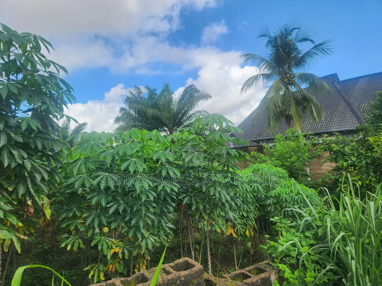 1300m2 Land for Sale at Oloruntedo Estate Near Akuru Off Akala Express