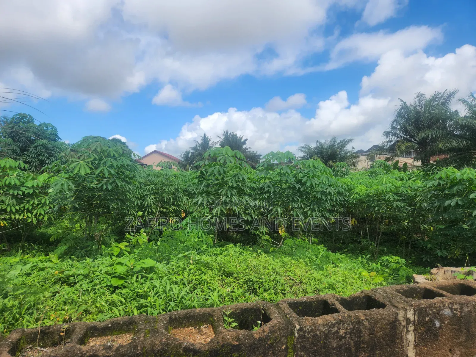 1300m2 Land for Sale at Oloruntedo Estate Near Akuru Off Akala Express