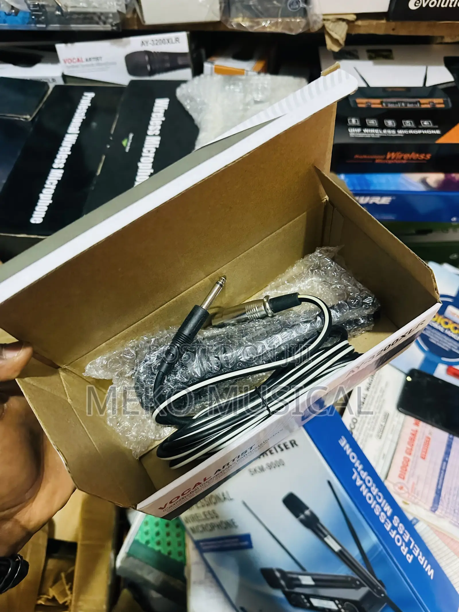 Wired Microphone