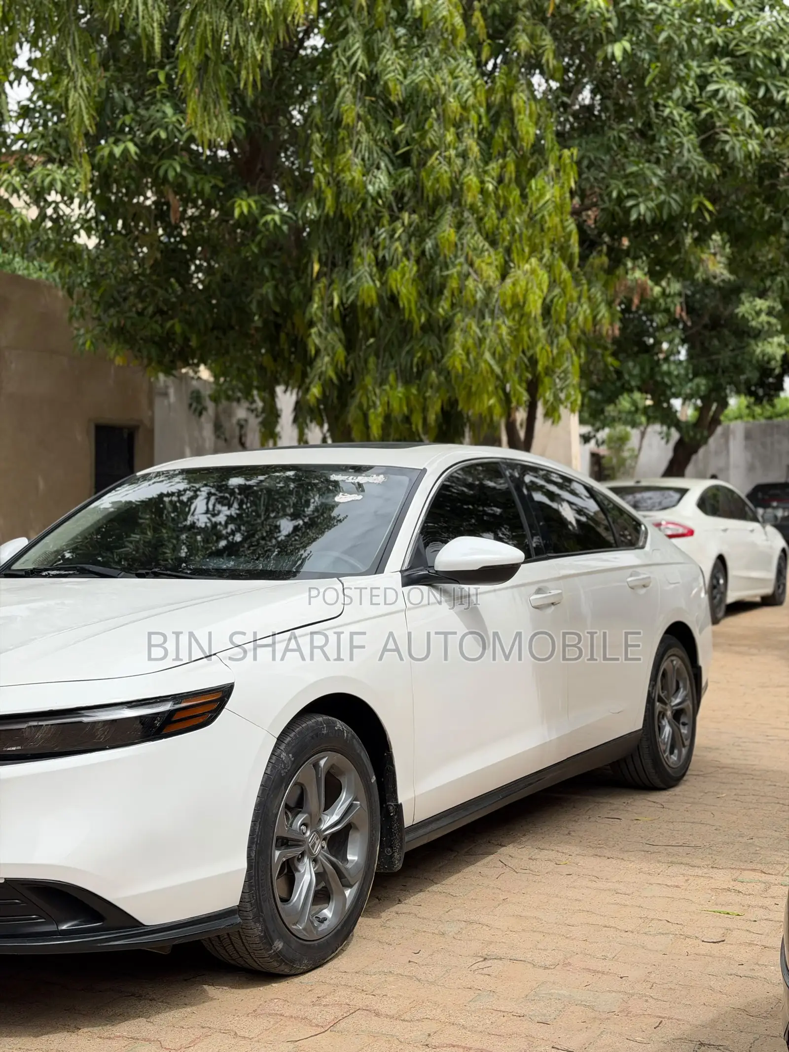 Honda Accord 2023 White