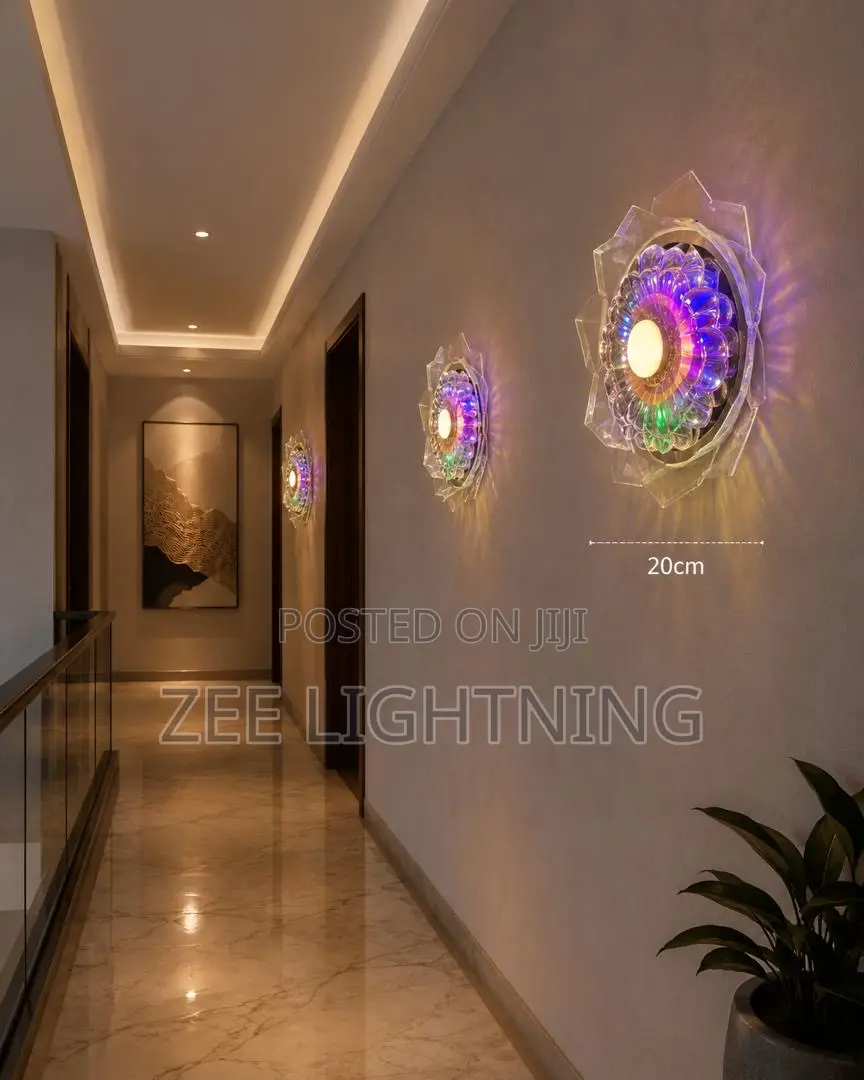 Flower Design Wall Mounted and Ceiling Mounted Light(diameter 20mm)
