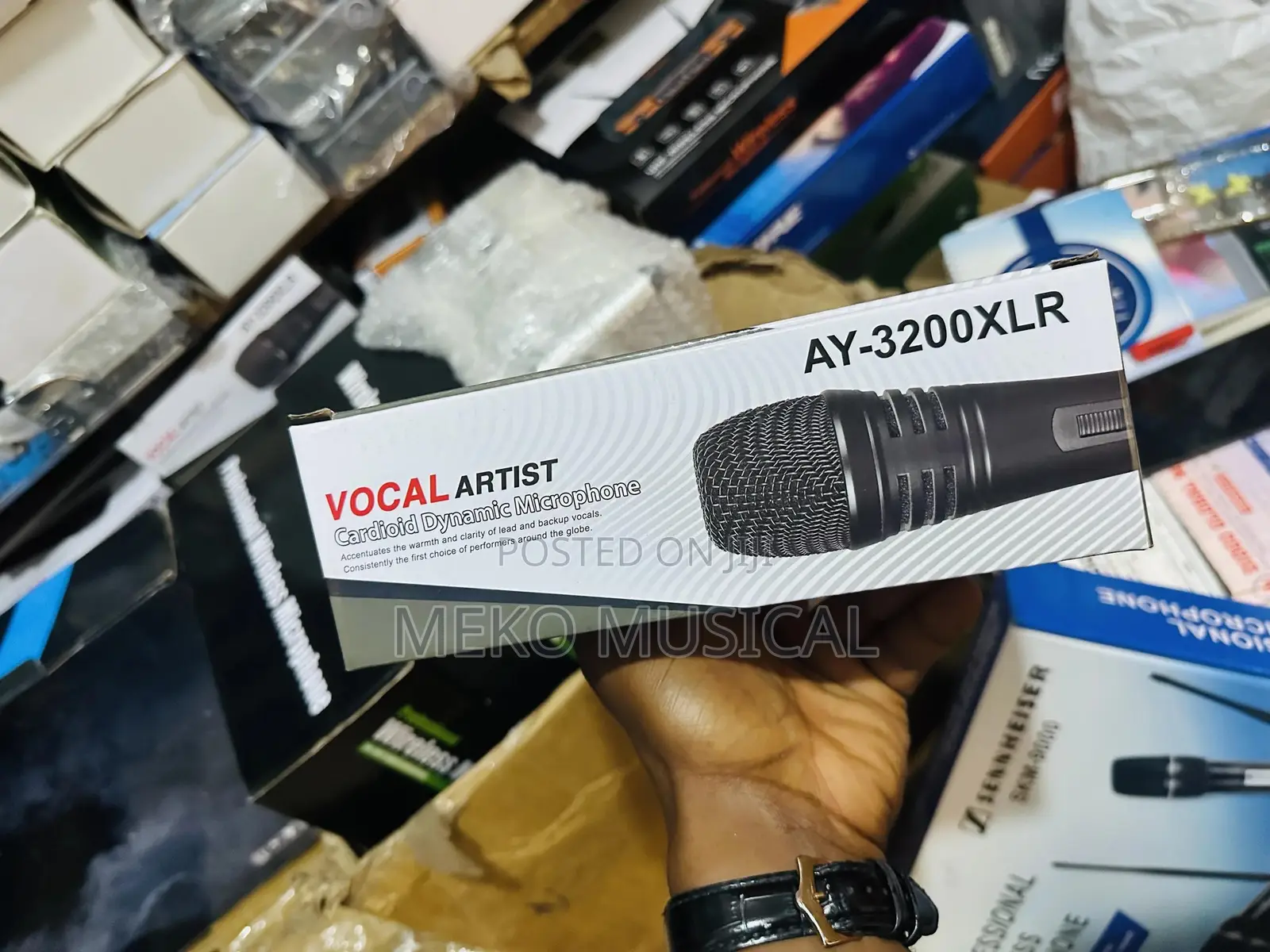 Wired Microphone