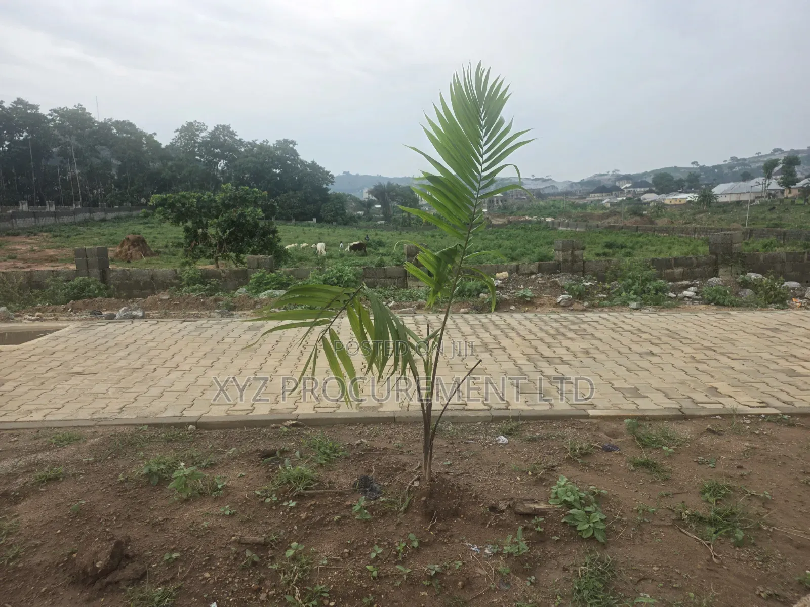 5,000 SQM on Tarred Road, Katampe Main