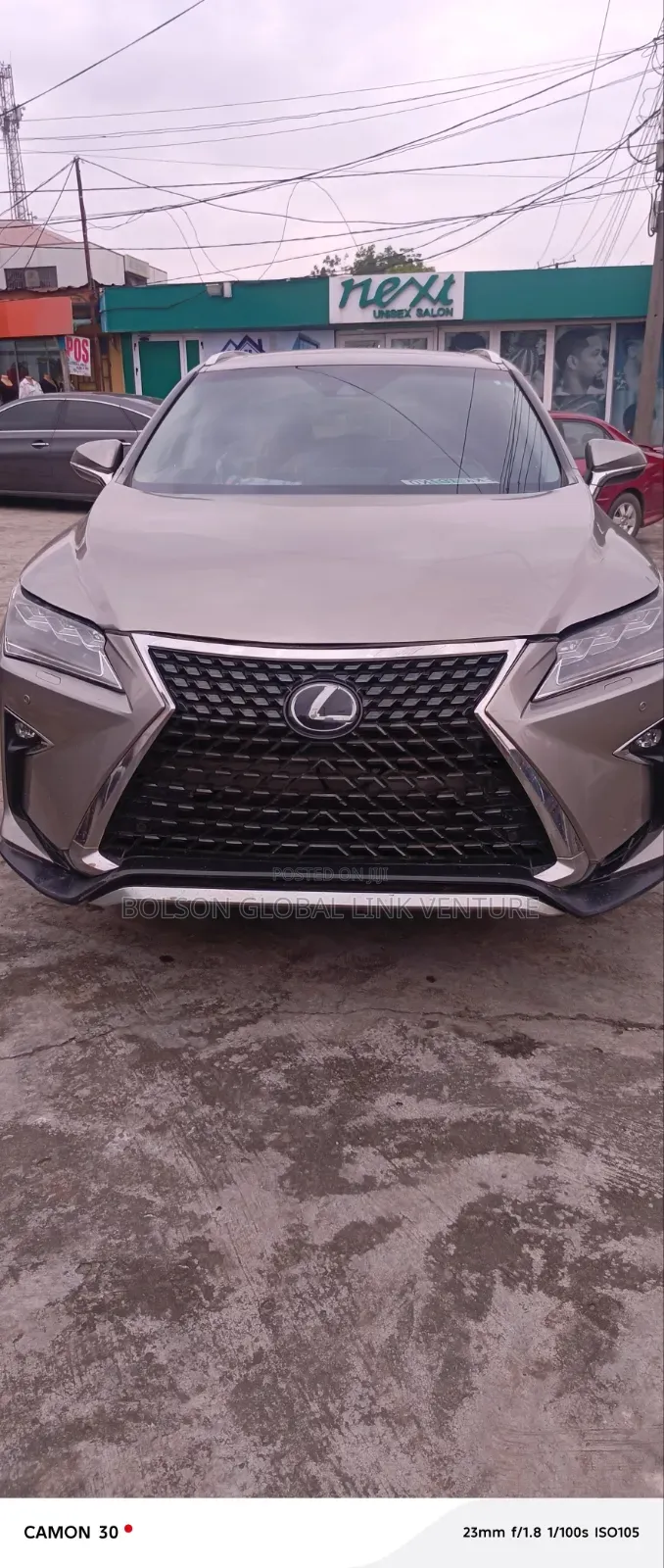 Lexus RX 2019 Green