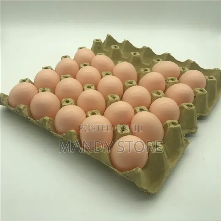 Artificial Egg Fake Eggs for Decoration and Others