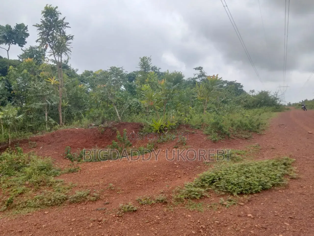 200 Acres of Land